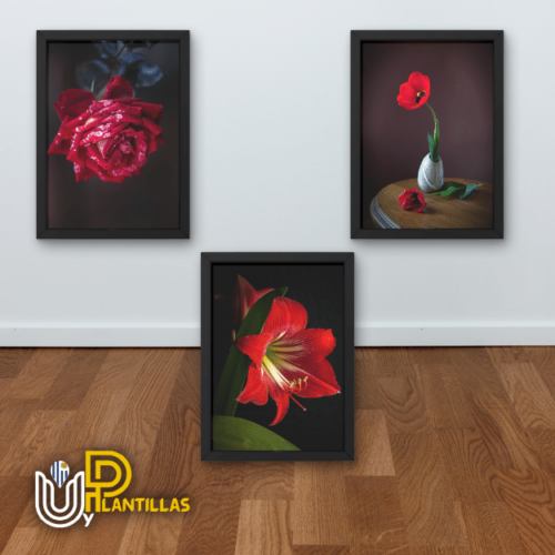Plantillas para Cuadros - Diseño Flores. - Imagen 3